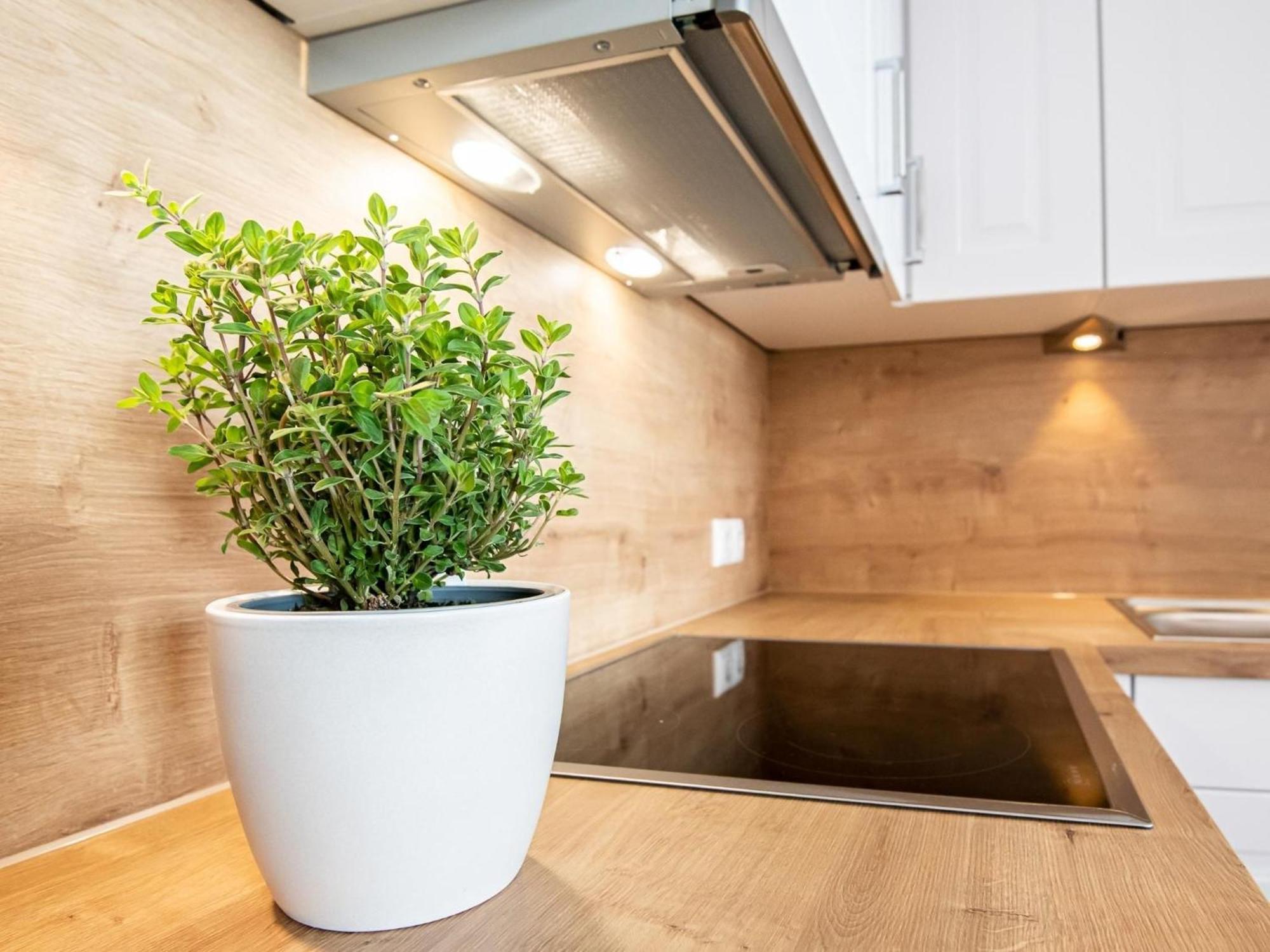Berolina 804 Penthouse Mit Meerblick Dahme  Zewnętrze zdjęcie
